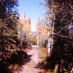 Photographs of students outside at the Lejac Indian Residential School