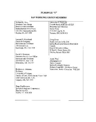 Schedule U, IAP working group members