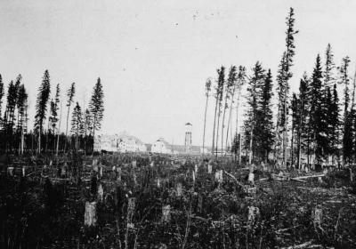 Photograph of a cleared forest with Pelican Lake IRS in the distance