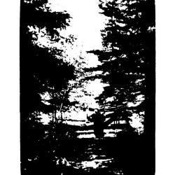 Photographs of people and buildings in Kenora