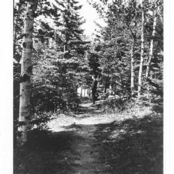 Photographs of people and buildings in Kenora