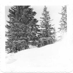 Photographs of students and activities