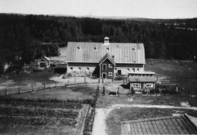 Photograph of the St. John's Residential School farm