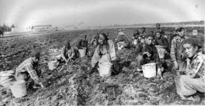 Photograph of students working in a field