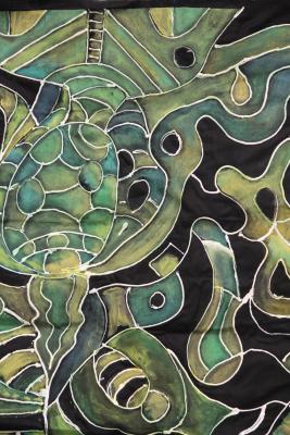 Photographs of Turtle Visions by Roxanne Martin