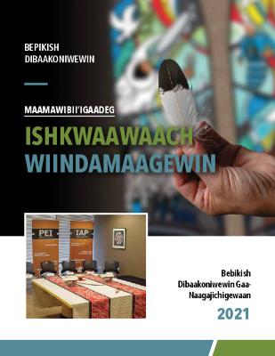 Summary of the Independent Assessment Process Oversight's 2021 Final Report