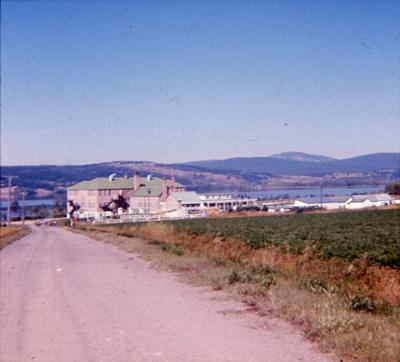 Maggie Hodgson fonds